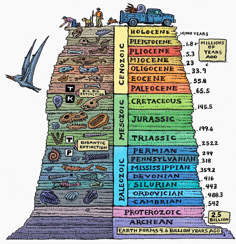 fossils and geologic time