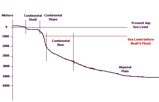 comparison to sea levels pre and post Noah's flood